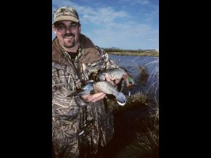 Blue- and green-winged teal 4